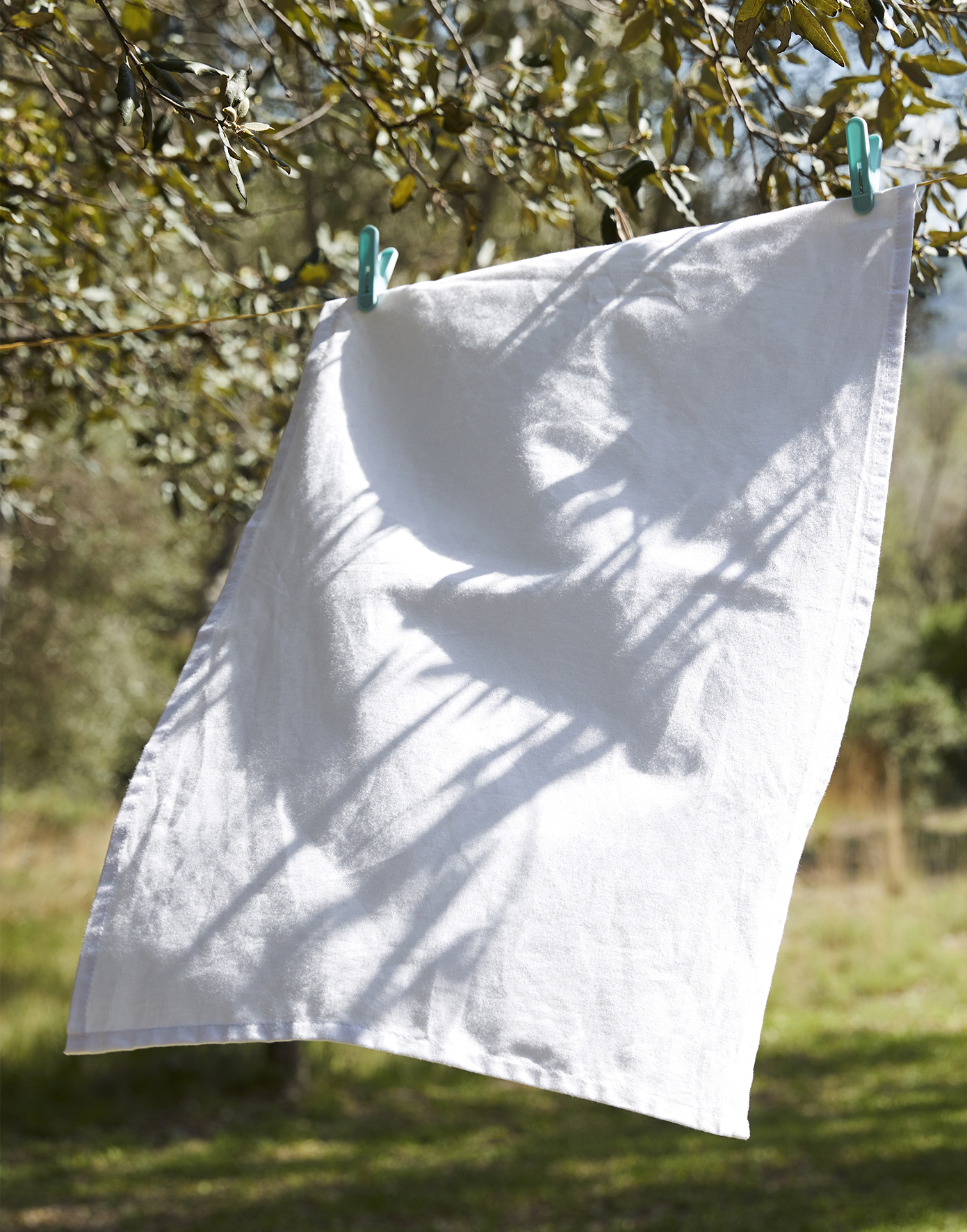Westford Mill W701 Tea Towel günstig bedrucken & besticken lassen